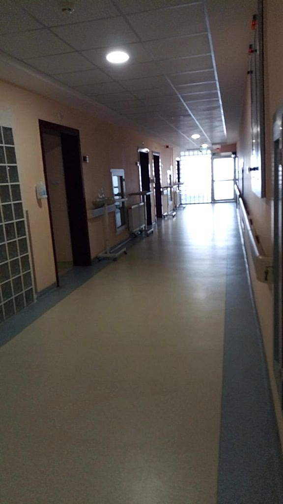 Yeşilköy Temizlik Şirketleri